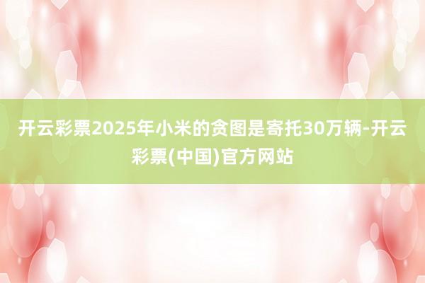 开云彩票2025年小米的贪图是寄托30万辆-开云彩票(中国)官方网站